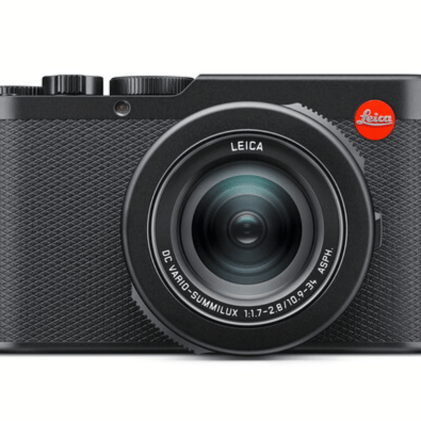 leica d-lux8 【柴犬こてつ】 leica d-lux8 【柴犬こてつ様 専用】