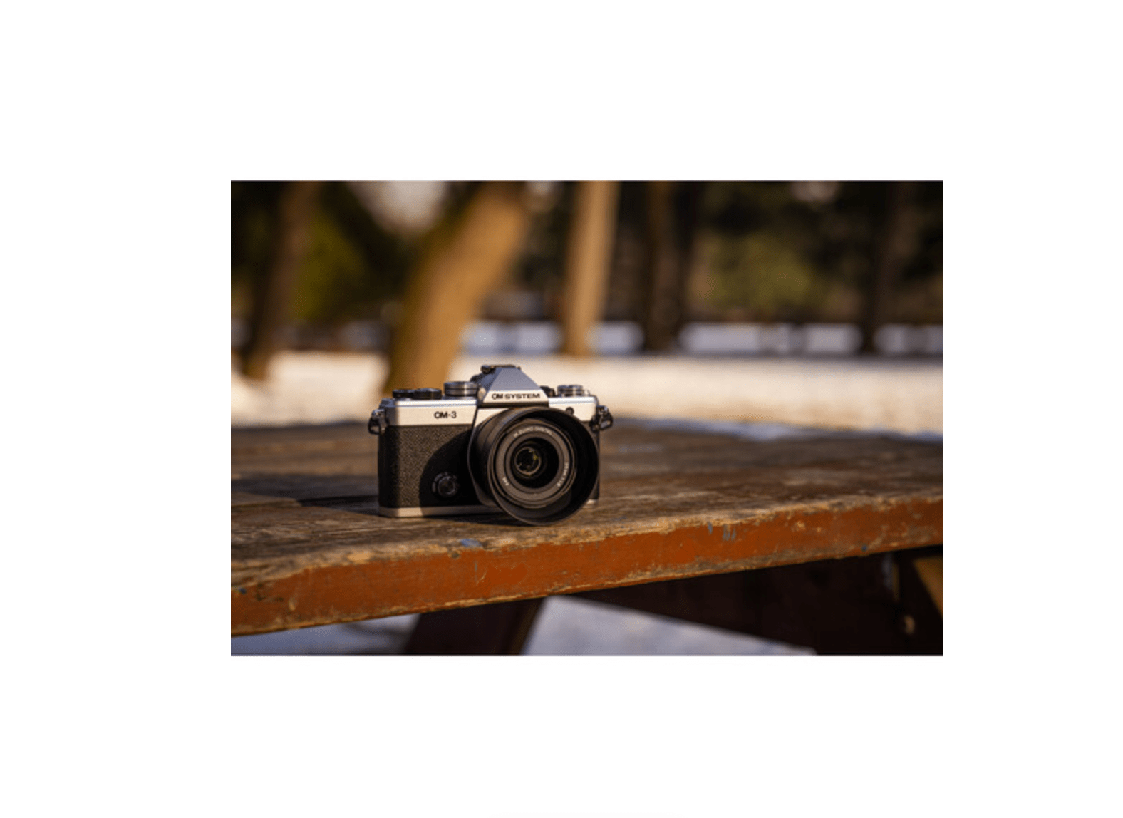 OM System OM - 3 Body - B&C Camera