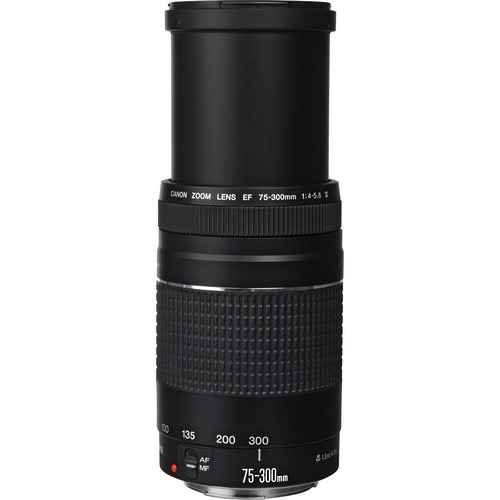 Canon EF 75-300mm f/4-5.6 III