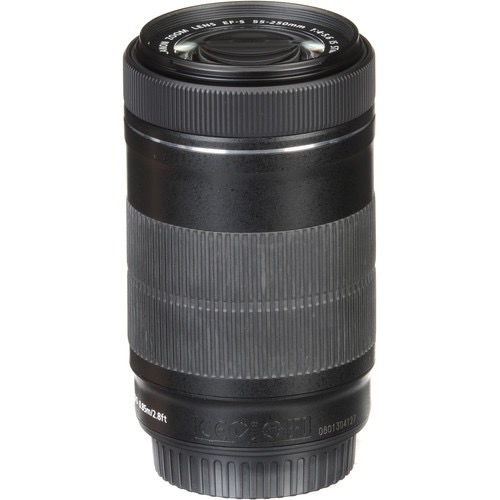 Canon EF-S 55-250mm f/4-5.6 IS STM