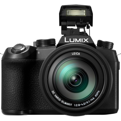 16 year old compact Leica D Lux 3 vs Lumix G9 kit lens 