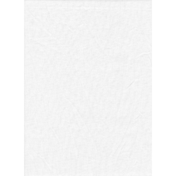 Promaster Solid Backdrop 10x12 - White