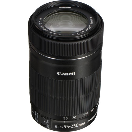 Canon EF-S 55-250mm f/4-5.6 IS STM