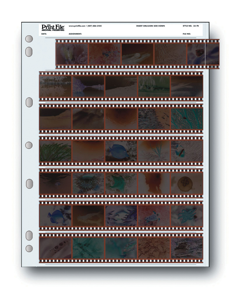 Dotline Print File Archival Preservers 35mm/5 Frames/7 Strips - 25