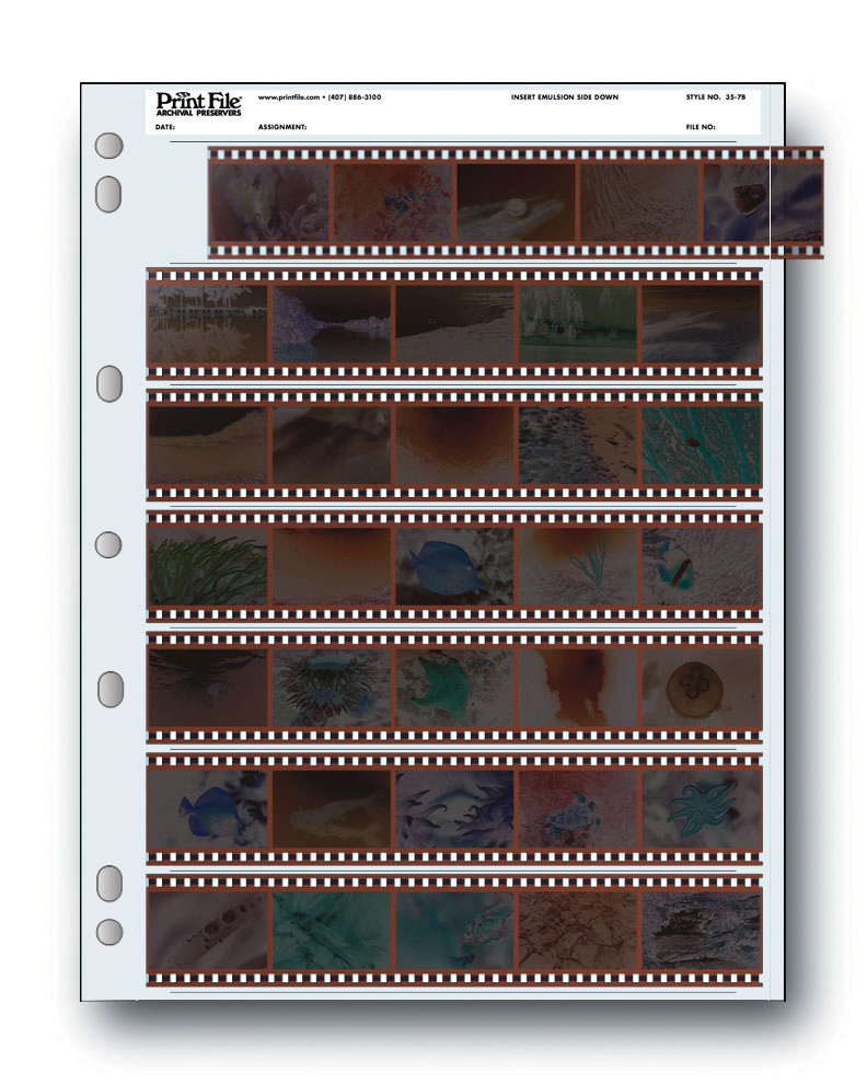 Shop Dotline Print File Archival Preservers 35mm/5 Frames/7 Strips - 25 by Dotline at B&C Camera