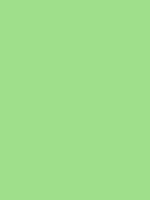 Savage Widetone Seamless Background Paper (Mint Green, 53" x 36)