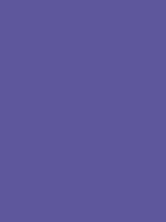 Savage Widetone Seamless Background Paper (Purple, 53" x 36')