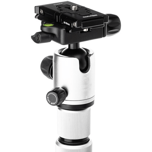 Shop Benro MeFOTO RoadTrip Pro Carbon Fiber Series 1 Travel Tripod with Ball Head and Monopod (Silver) by Benro at B&C Camera