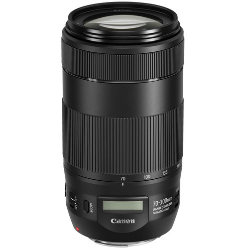 Canon 望遠ズームレンズ EF70-300mm F4-5.6L IS USM質問等答えれない ...