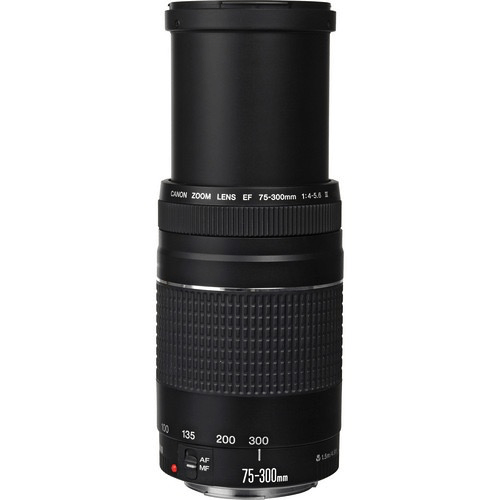Shop Canon EF 75-300mm f/4-5.6 III by Canon at B&C Camera