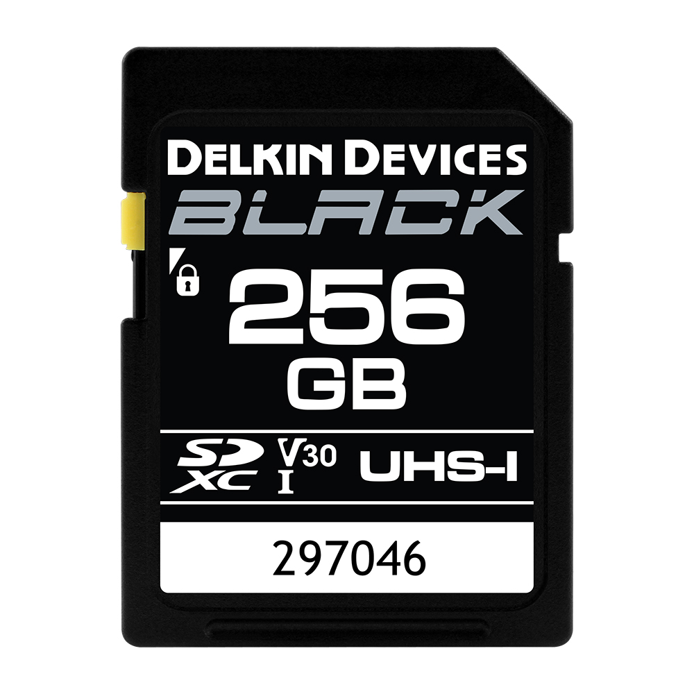 Delkin SDXC Black Memory Card 256 GB