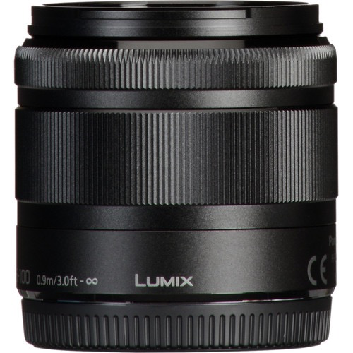 Panasonic Lumix G VARIO 35-100mm f/4.0-5.6 ASPH MEGA OIS Lens
