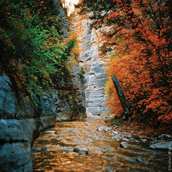 Color Negative Best Film Camera For Landscape Photography Kodak