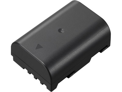 Shop Panasonic DMW-BLF19 Lithium Ion Battery by Panasonic at B&C Camera