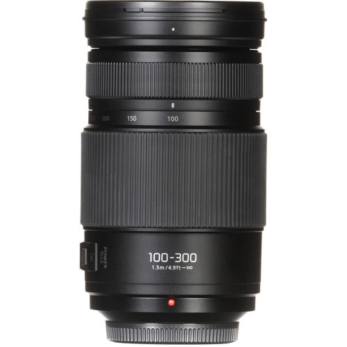 Panasonic Lumix G Vario 100-300mm f/4-5.6 II POWER O.I.S. Panasonic Lumix G Vario 100-300mm f/4-5.6 II POWER O.I.S.