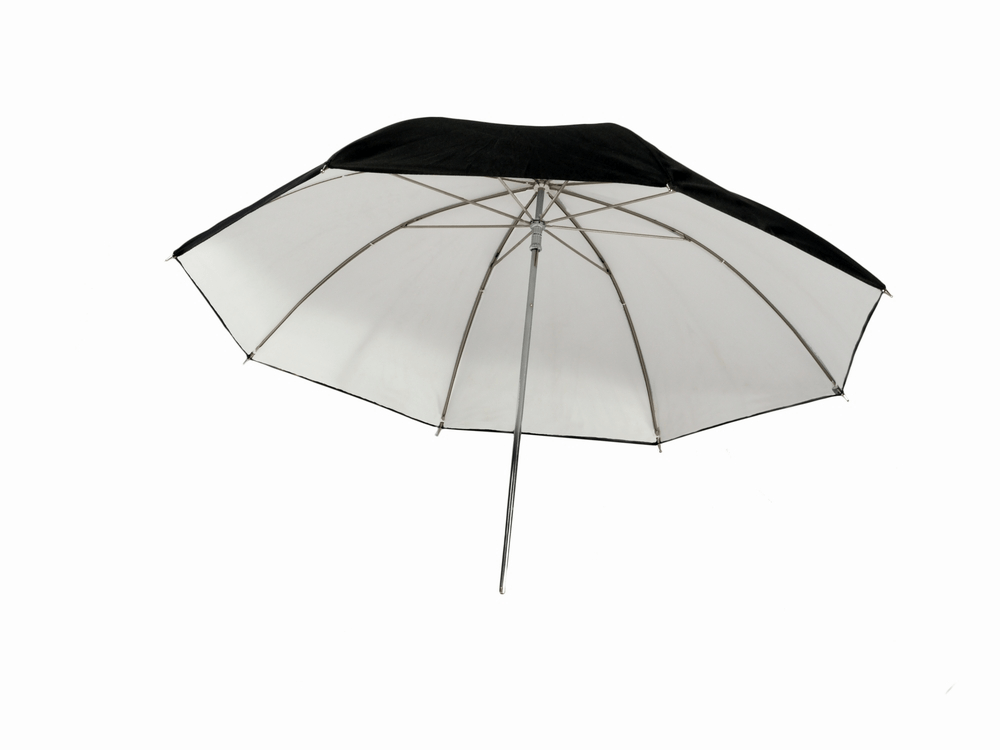 Shop Promaster 45” Professional Series Black/White Umbrella by Promaster at B&C Camera