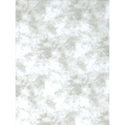 Shop Promaster Cloud Dyed Backdrop 6' x 10' - Light Gray by Promaster at B&C Camera
