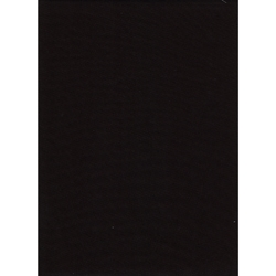 Shop Promaster Solid Backdrop 10'x12' - Black by Promaster at B&C Camera