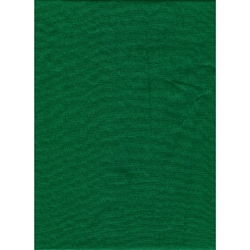 Shop Promaster Solid Backdrop 10'x20' - Chromakey Green by Promaster at B&C Camera