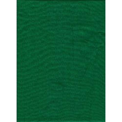 Shop Promaster Solid Backdrop 6' x 10' - Chromakey Green by Promaster at B&C Camera