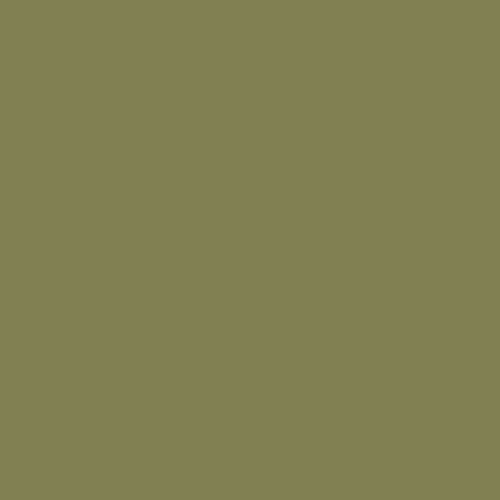 Shop Savage Widetone Seamless Background Paper (#34 Olive Green, 107" x 36') by Savage at B&C Camera