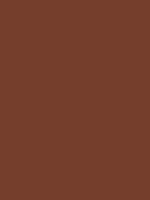 Savage Widetone Seamless Background Paper (Chestnut, 53" x 36') - B&C Camera