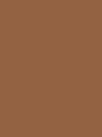 Shop Savage Widetone Seamless Background Paper (Cocoa, 107" x 36') by Savage at B&C Camera