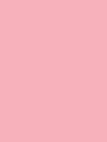 Shop Savage Widetone Seamless Background Paper (Coral, 53" x 36') by Savage at B&C Camera