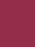 Shop Savage Widetone Seamless Background Paper (Crimson, 107" x 36') by Savage at B&C Camera