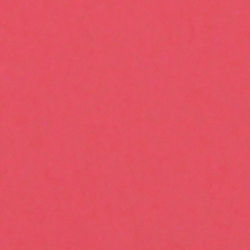 Savage Widetone Seamless Background Paper (Flamingo, 53" x 36') - B&C Camera