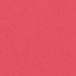 Shop Savage Widetone Seamless Background Paper (Flamingo, 53" x 36') by Savage at B&C Camera