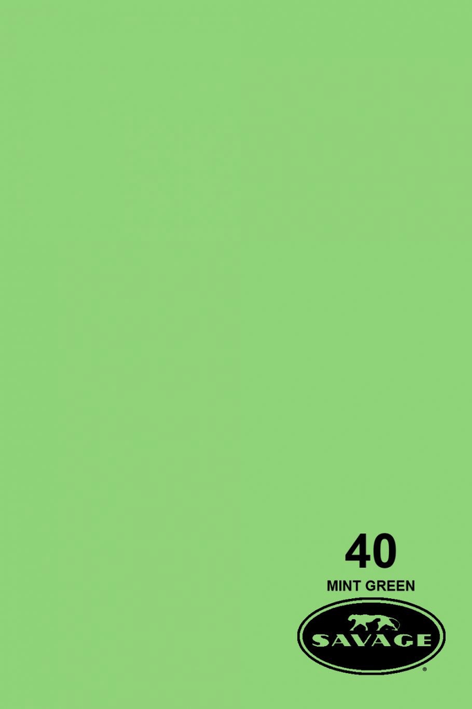 Shop Savage Widetone Seamless Background Paper (Mint Green 86” x 12yd) by Savage at B&C Camera
