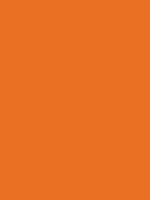 Savage Widetone Seamless Background Paper (Orange 86”X12yds) - B&C Camera