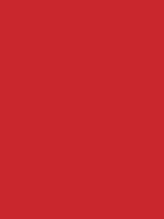 Shop Savage Widetone Seamless Background Paper (Primary Red, 107" x 36') by Savage at B&C Camera