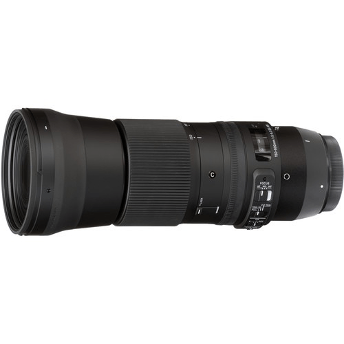 Shop Sigma 150-600mm f/5-6.3 DG OS HSM Contemporary Lens for Nikon F by Sigma at B&C Camera