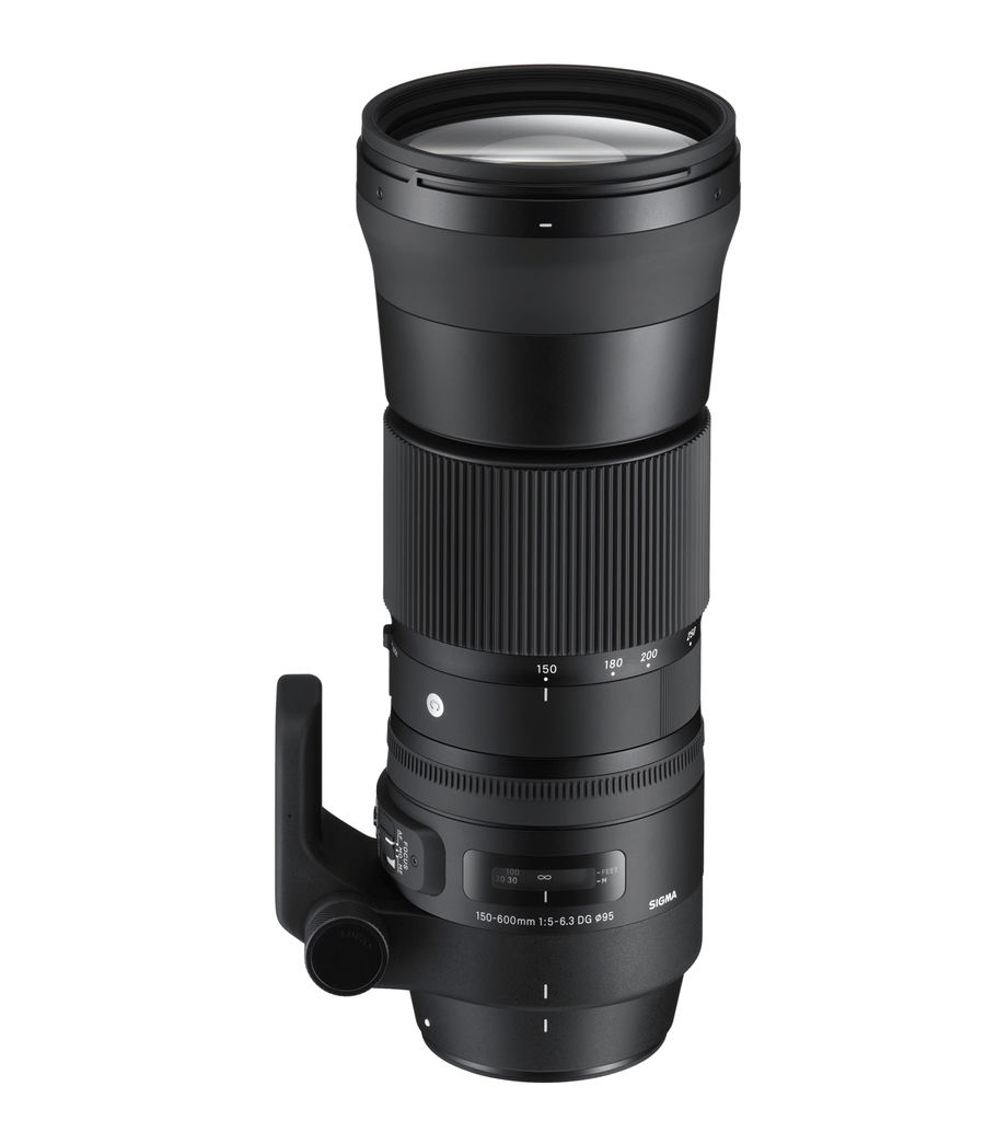 Shop Sigma 150-600mm f/5-6.3 DG OS HSM Contemporary Lens for Nikon F by Sigma at B&C Camera